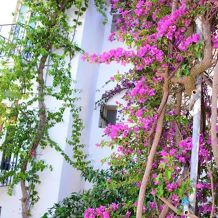 Hotel Costa Blu Bodrum Golturkbuku