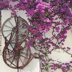Costa Blu Bodrum 3* 博德鲁姆