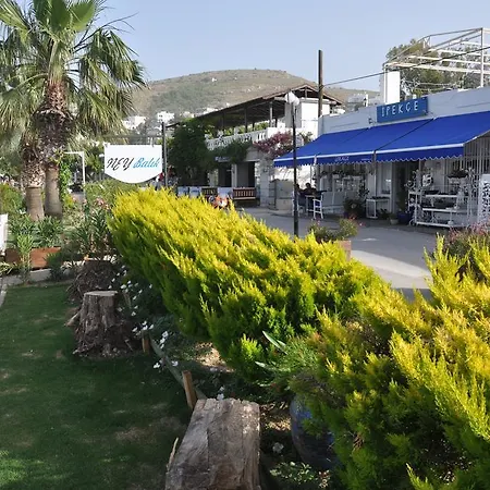 Отель Costa Blu Bodrum