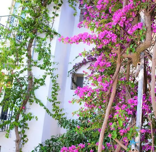 Hotel Costa Blu Bodrum Bodrum