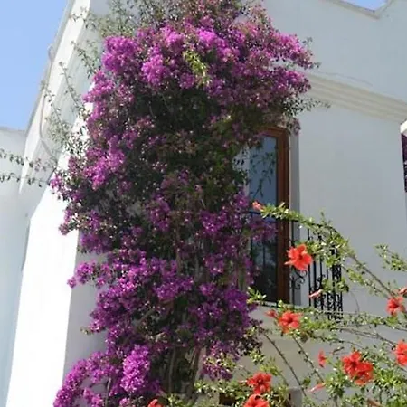 Hotell Costa Blu Bodrum Bodrum