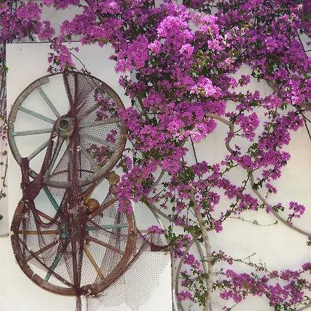 Costa Blu Bodrum 3* Bodrum