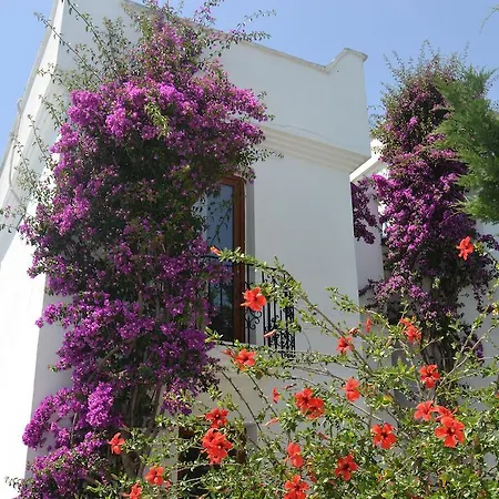 Costa Blu Bodrum