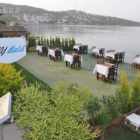 Hotel Costa Blu Bodrum Bodrum